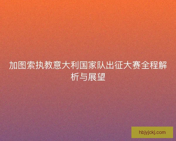 加图索执教意大利国家队出征大赛全程解析与展望